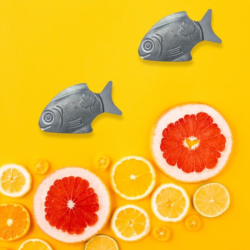 Boosting Iron Levels, One Fish at a Time - Orange