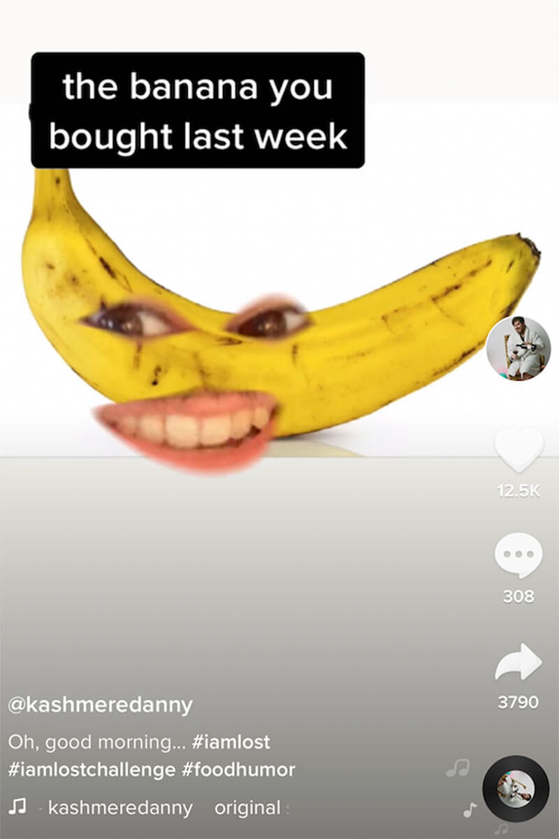 Favourite TikTok accounts of 2020  with an image of a talking banana