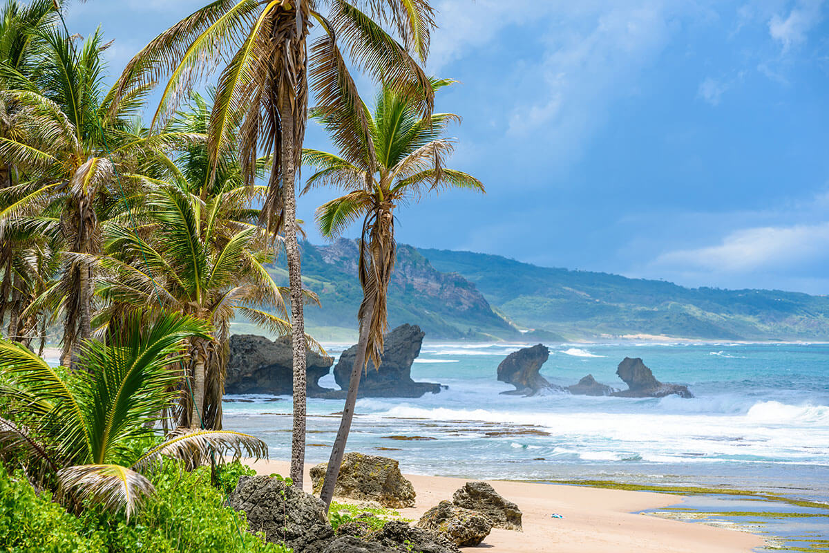 Rock formation on the beach of Bathsheba, East Coast of Barbados, one of Toast's islands in the sun