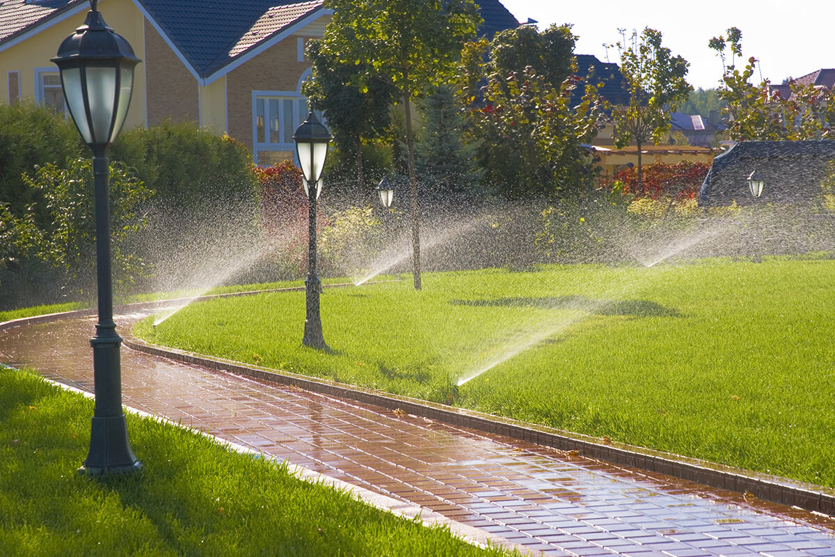 Grass lawn isn't a sustainable landscaping method.