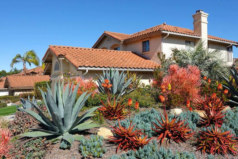 Colourful, sustainably xeriscaped yard in front of a house.