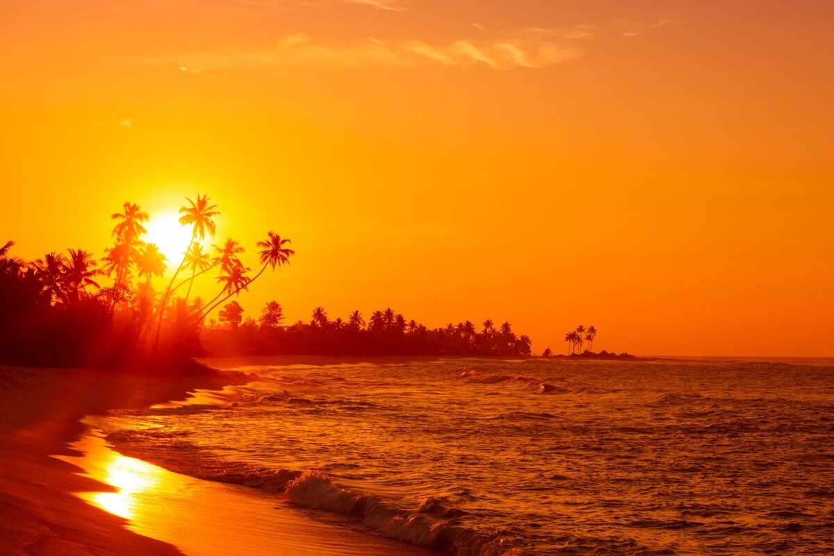 An orange Jamaican sunset along a beach with plam trees in the background, one of Jamaica's one-love treasures