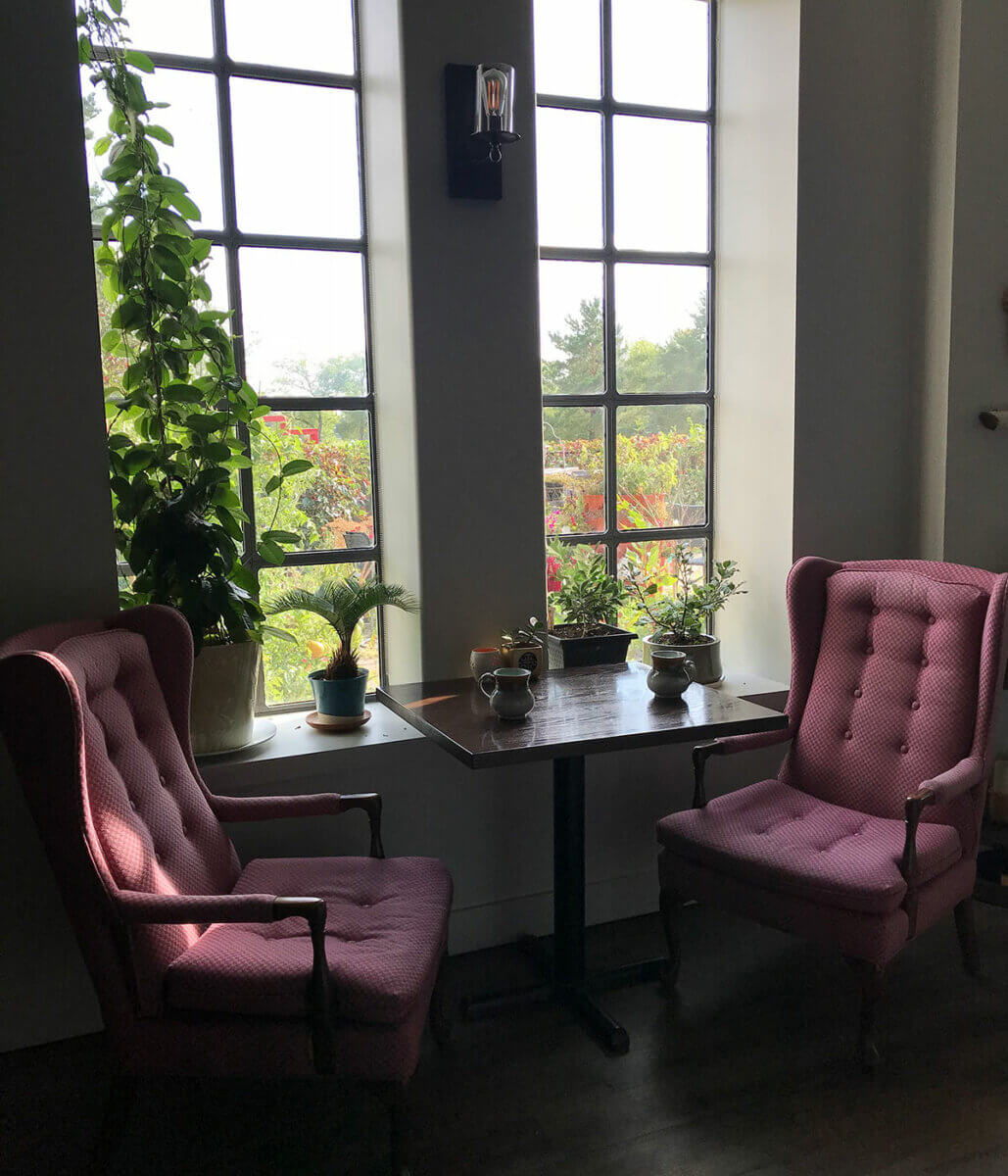 2 pink chairs beside a window ready for afternoon tea, part of the Regina February City Guide