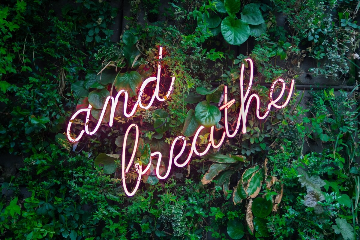 and breathe written in pink neon lights on a green leafy background