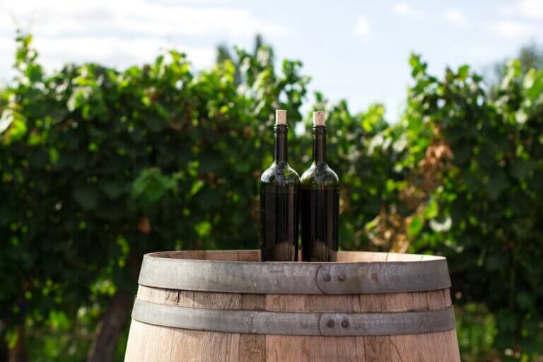 2 bottles of wine on an oak cask outside at a winery, samples of italian & french wines