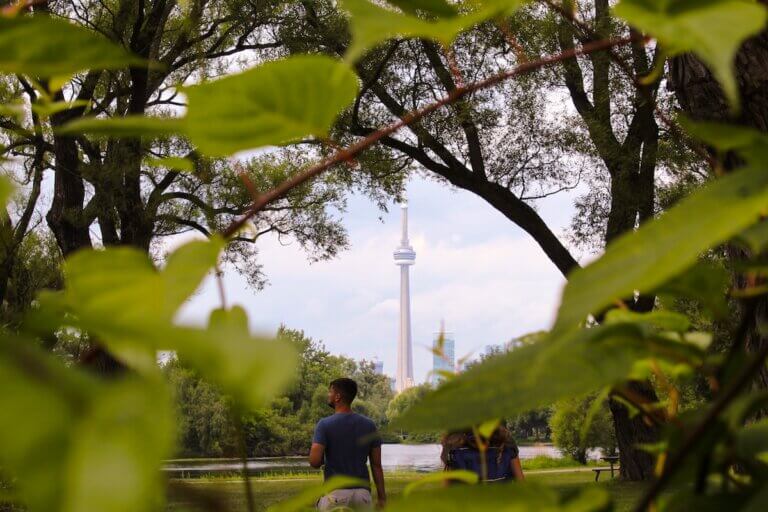 trees and greenery in the foreground with Toronto CN tower in background