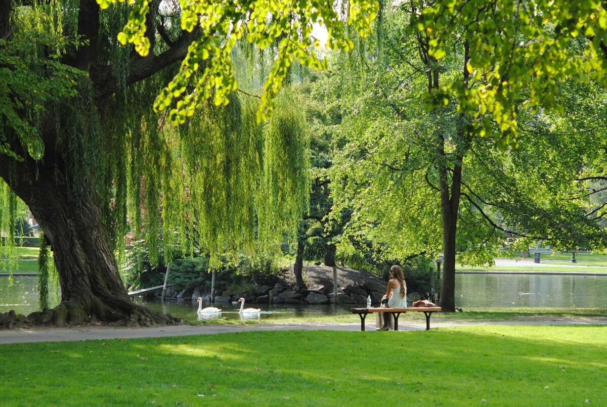 girl sitting at park bench near swimming swans