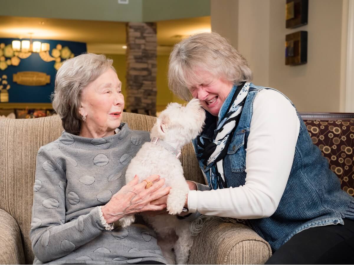 small white dog licking woman's nose while another woman watches