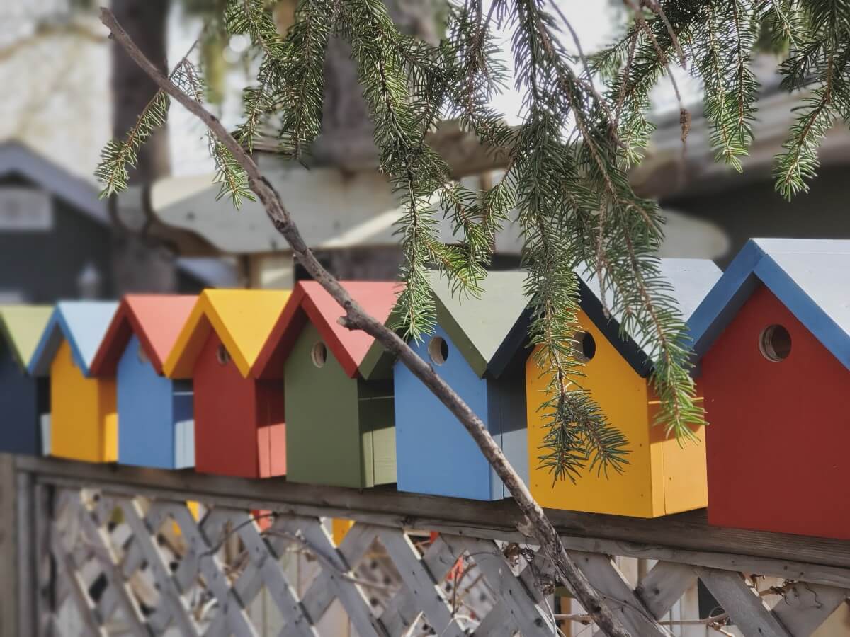 colourful bird houses in Regina's Cathedral area