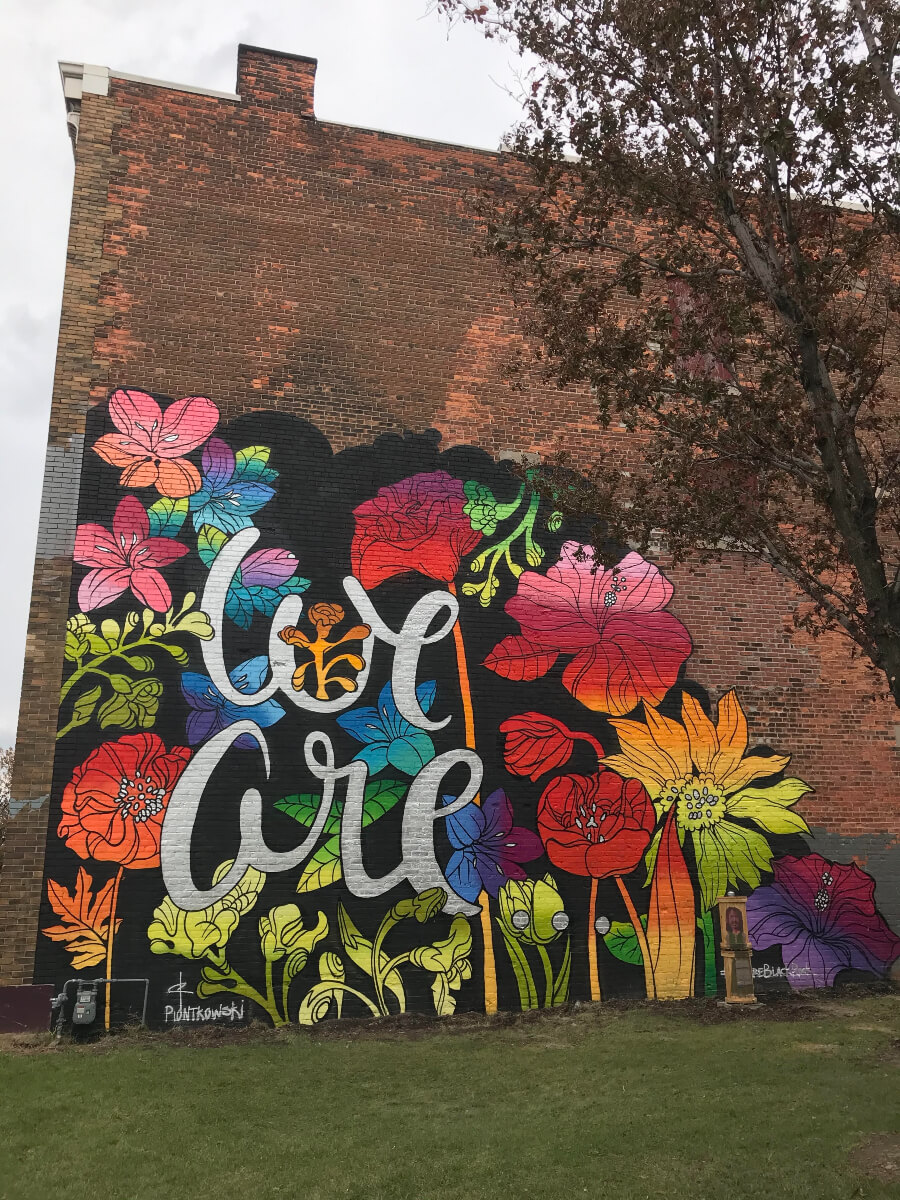 graffiti buffalo art of colourful flowers and the words we are