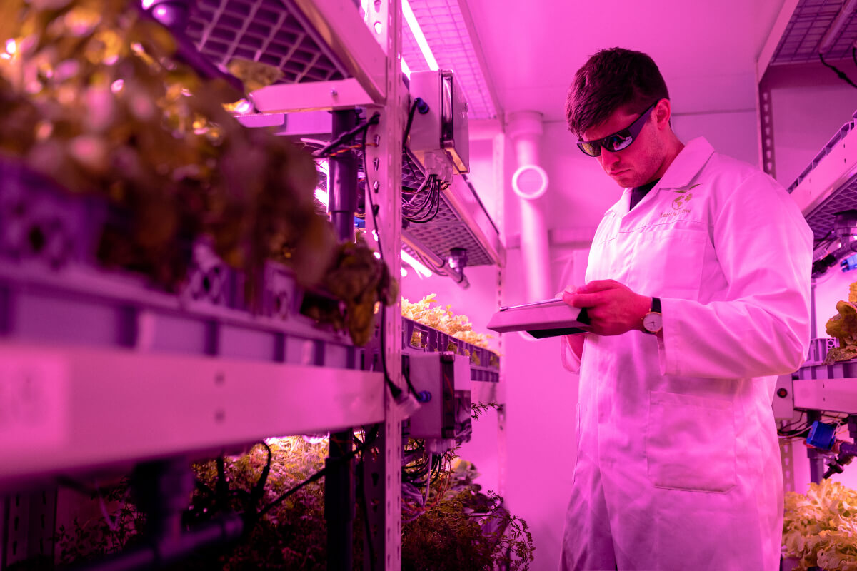 scientist in food lab under pink lights supported by virtual cultivator event