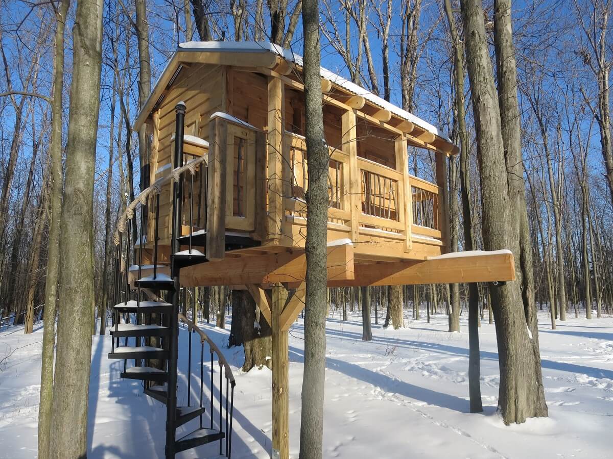 a buffalo treehouse in winter