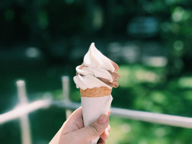 ice cream cone from elle's cafe in regina