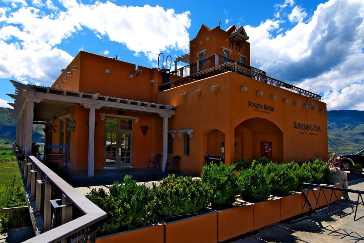 Terracota coloured Burrowing Owl Estate Winery with greenery against a blue sky and green landscape