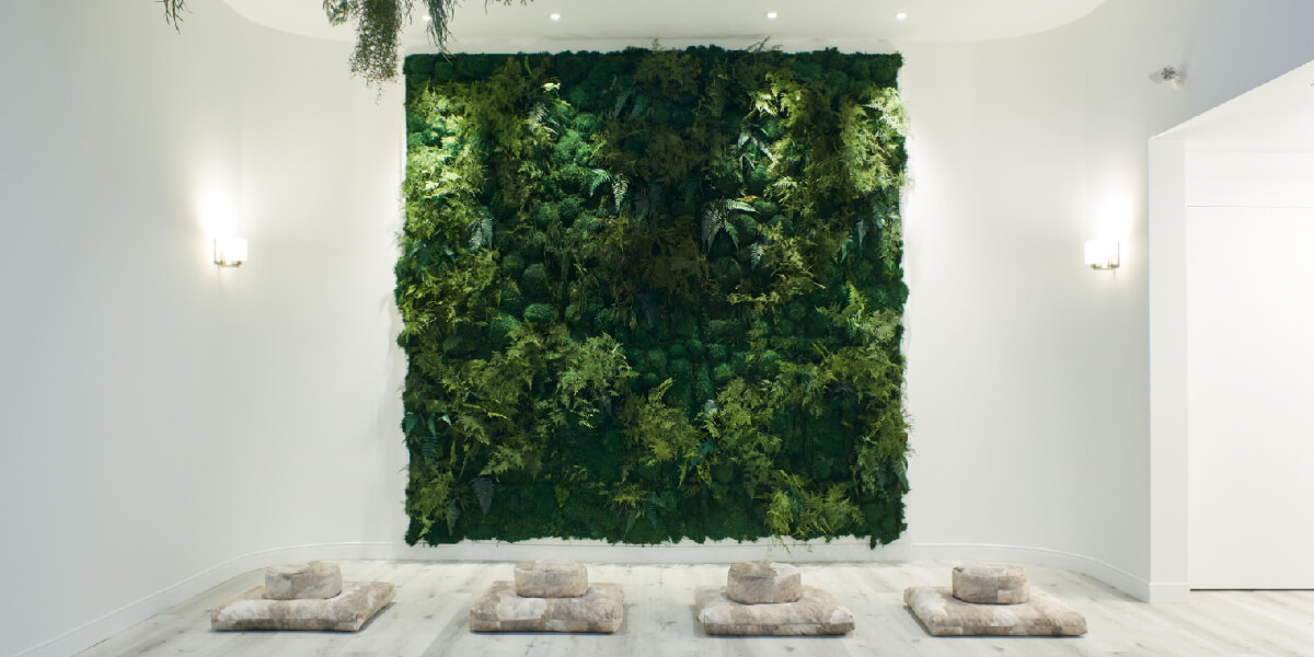 white meditation room with green plant wall for mental wellness