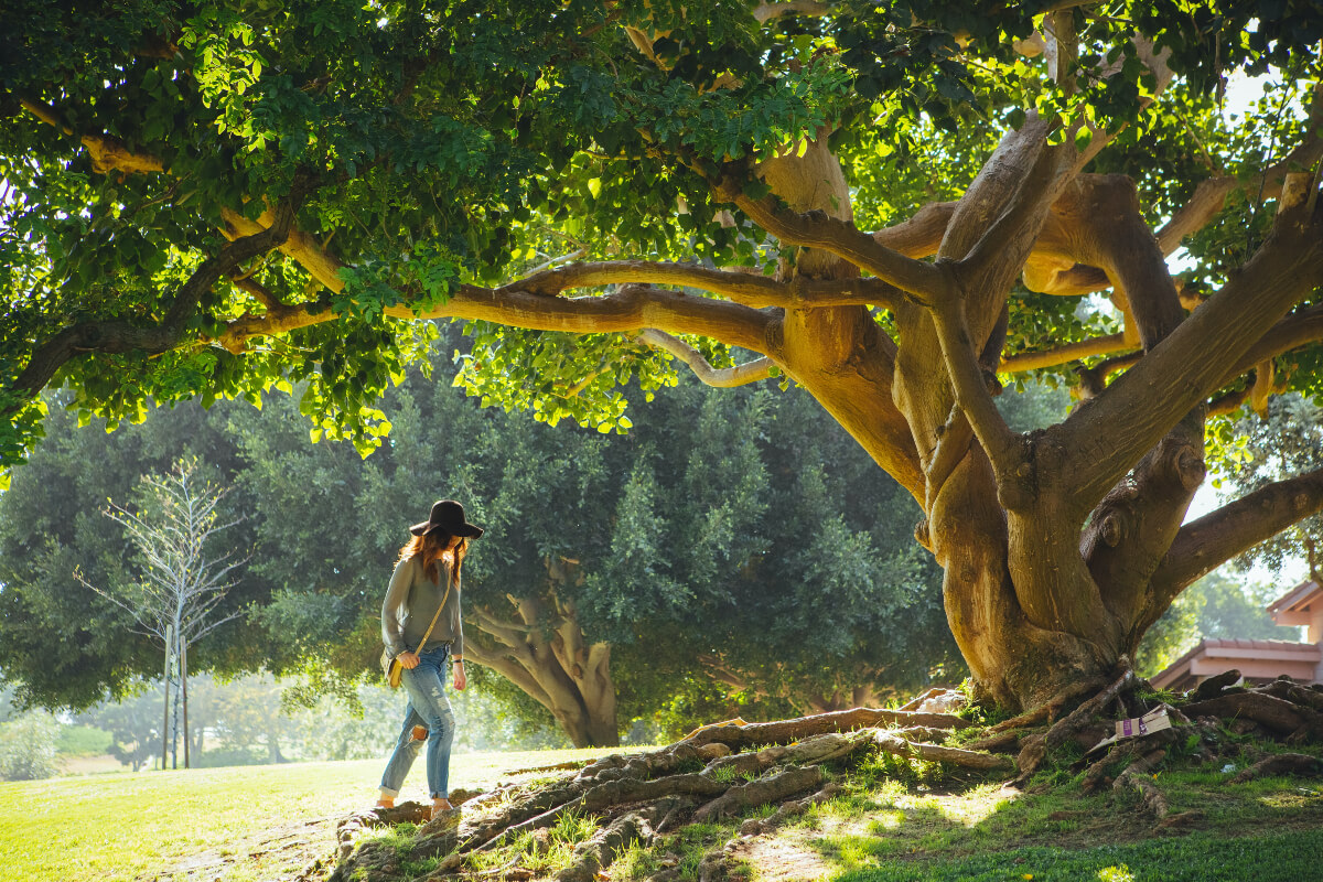 Woman walking in a park surrounded by greenery 