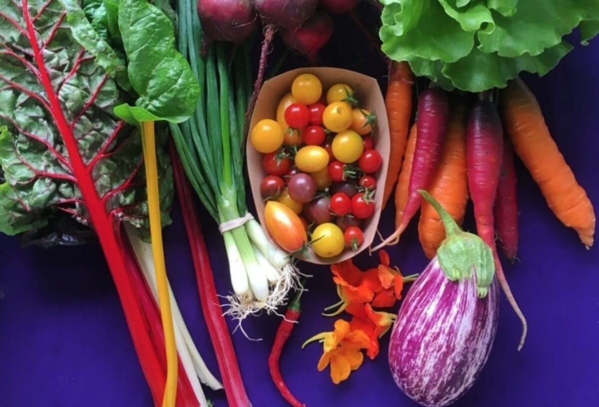 Colorful, fresh vegetables 