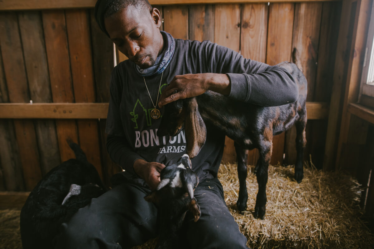 At Bonton Farms, a man pets little goats. 