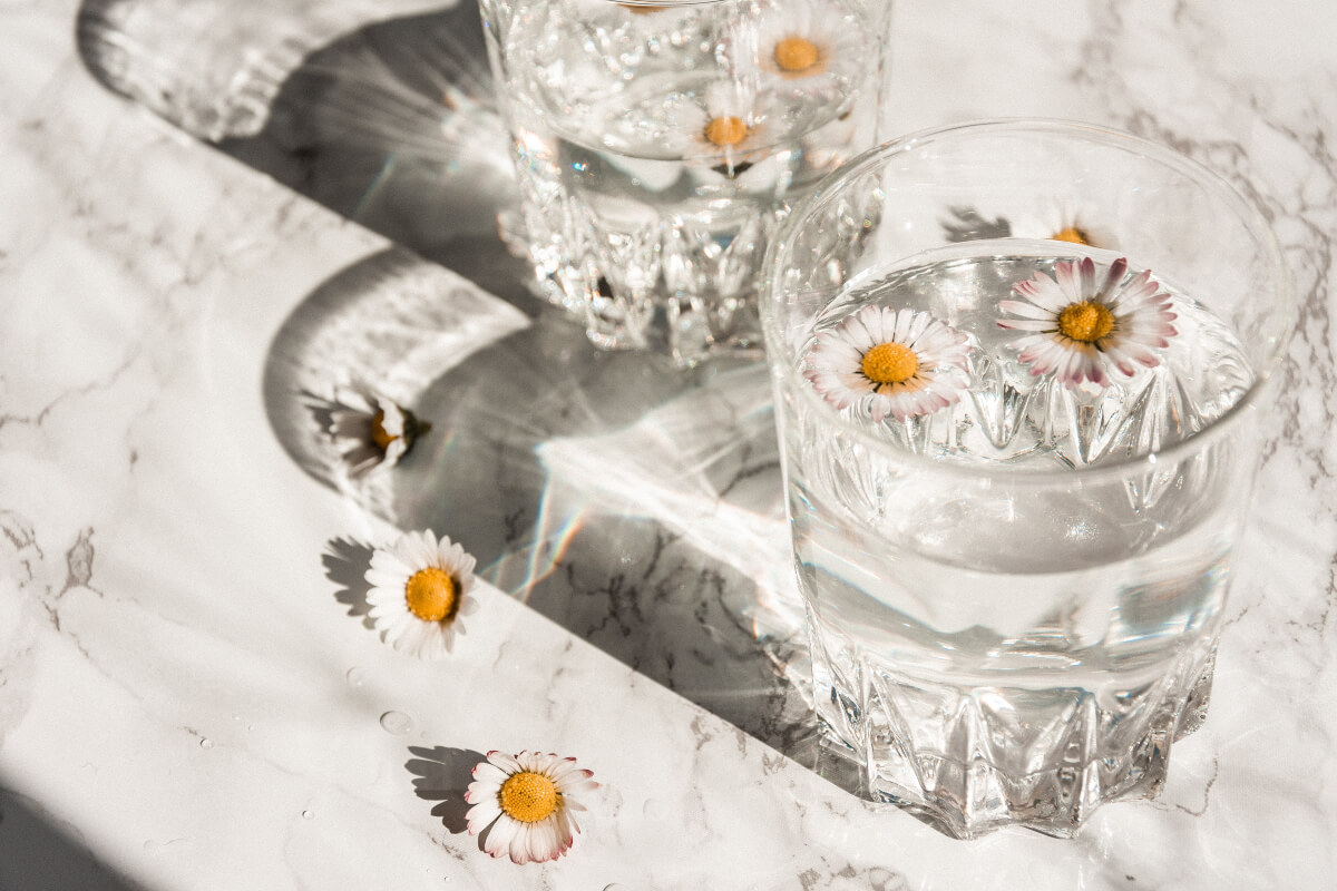 Daisies floating in glasses of water - a good beverage choice for the sober curious
