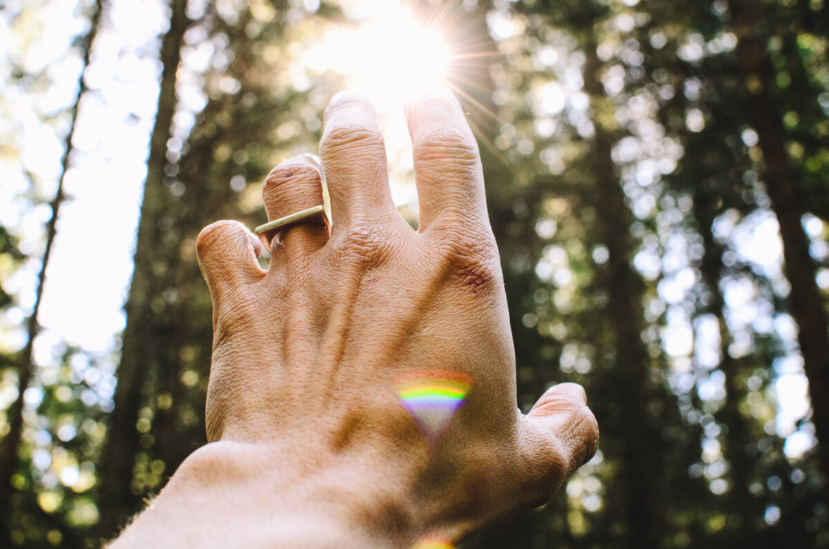 Image of a hand reaching up toward a beam of sunlight shining through the trees 