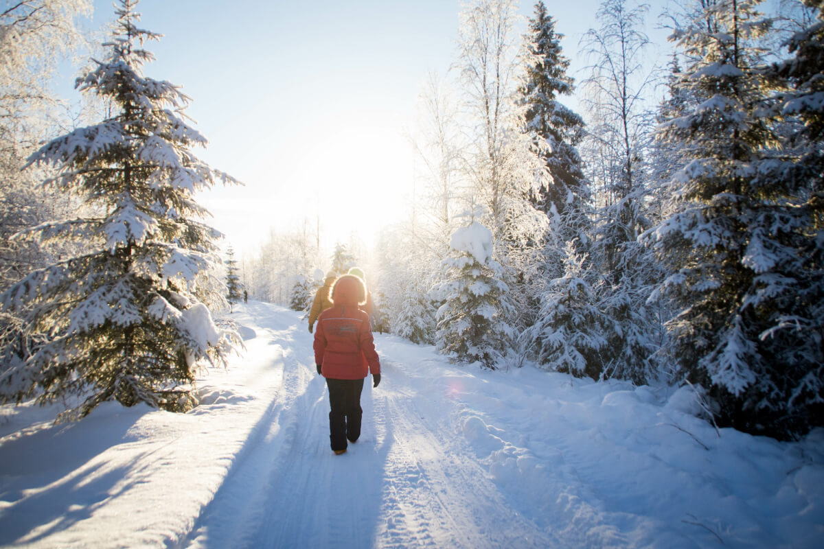 People walking down a snowy path in the woods - a great idea for a sustainable Christmas tradition. 