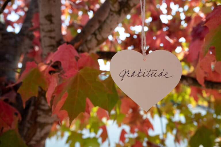 Paper heart with the word "Gratitude" written on it hangs from a tree branch.