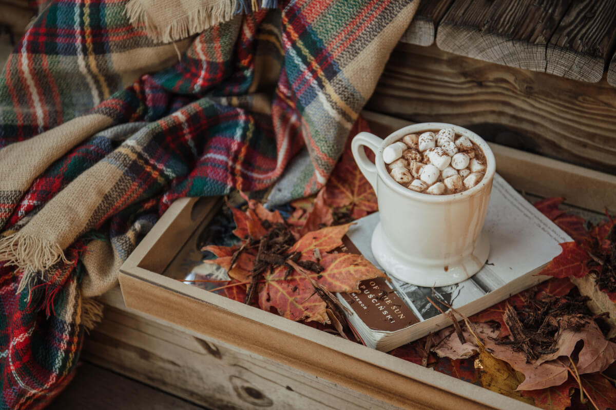 A steamy cup of hot chocolate with marshmallows sits atop a book in a cozy setting. 