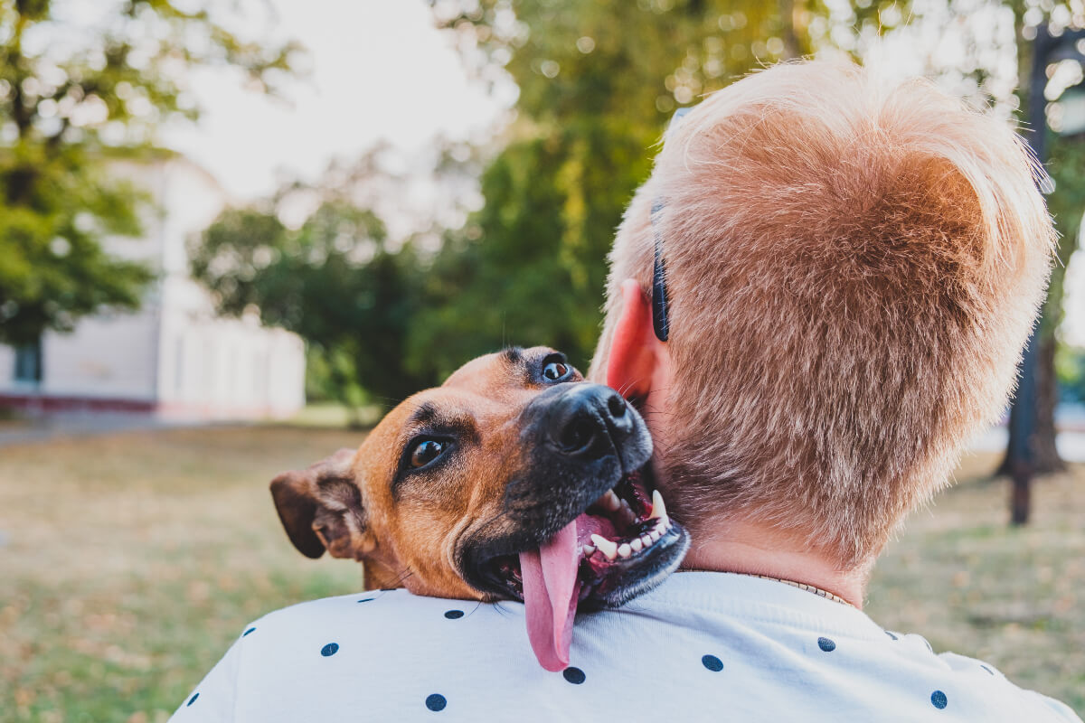 Adopt a pet so you can receive hugs like this one. A dog's tongue hangs out as he hugs his owner. 