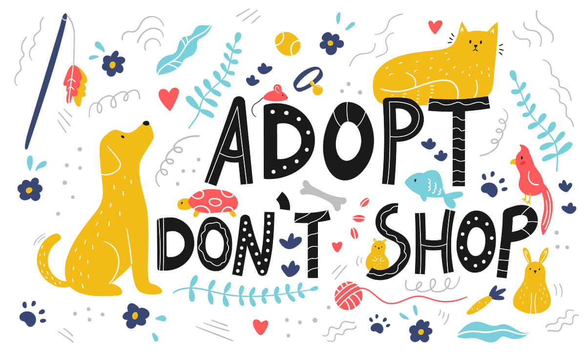 Adopt ("a pet), don't shop" graphic featuring a dog