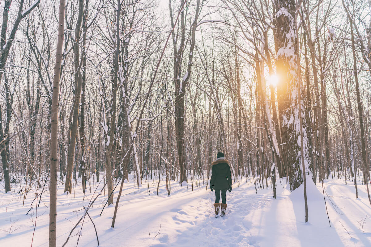 Winter snow walk woman walking away in snowy forest on woods trail outdoor lifestyle active people. Outside leisure. Lost wanderlust girl hiking in nature.