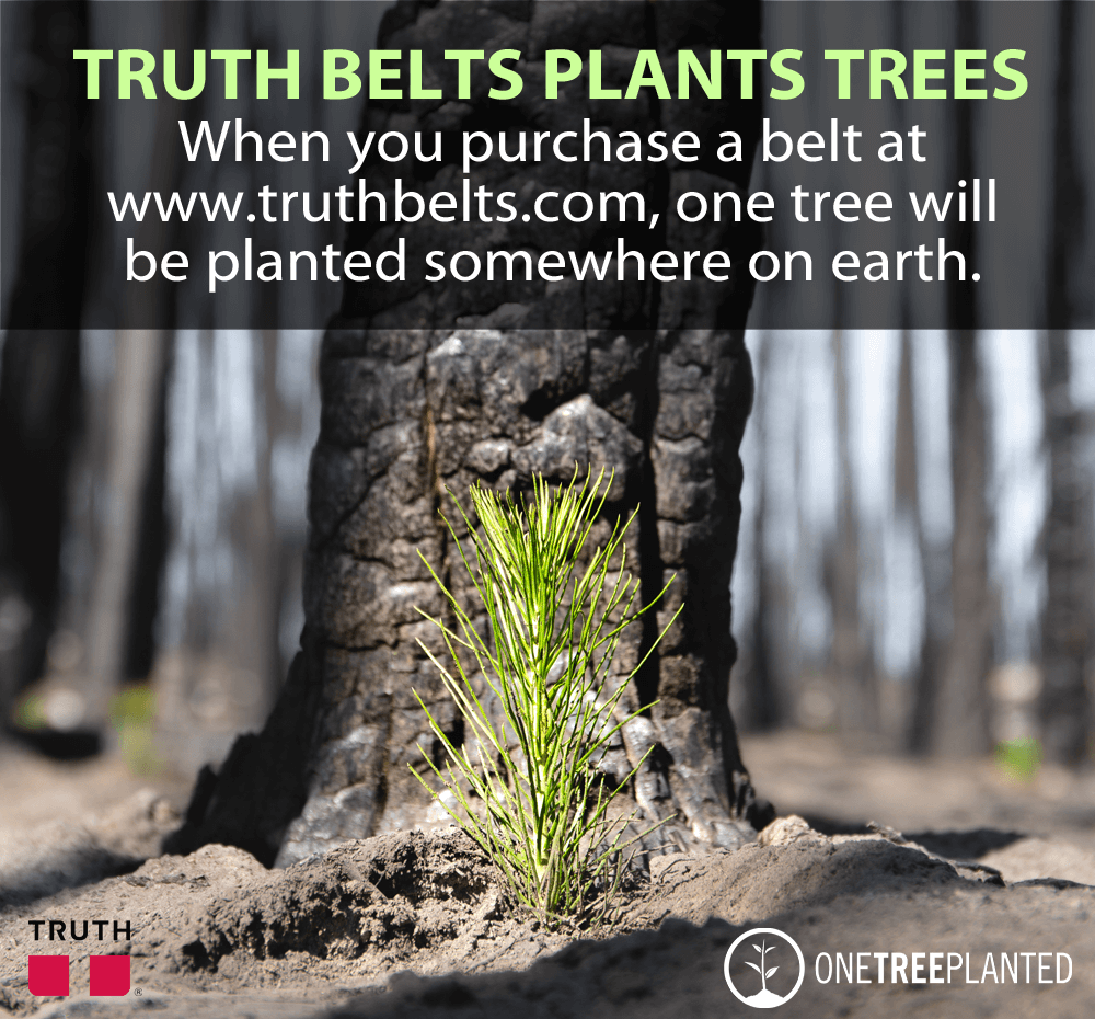young sapling in a forest, planted by truth belts, saving the planet
