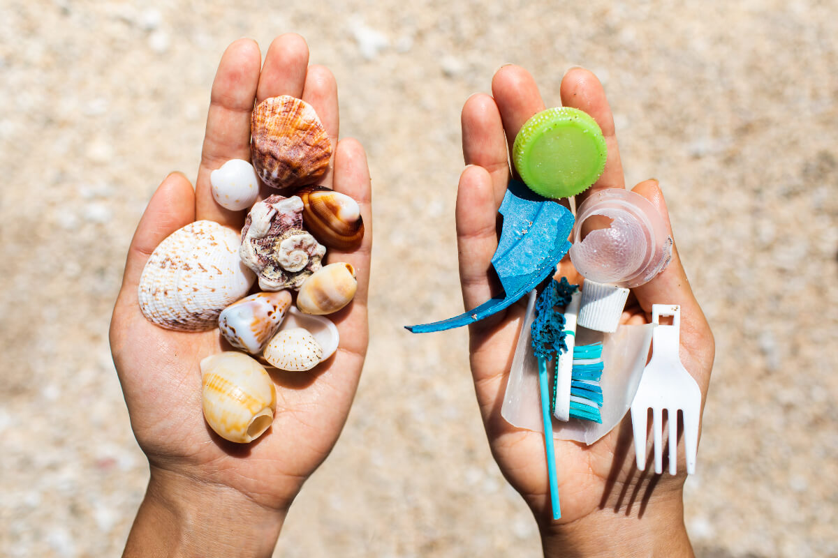 Two hands, one holding seashells and the other holding pieces of plastic waste
