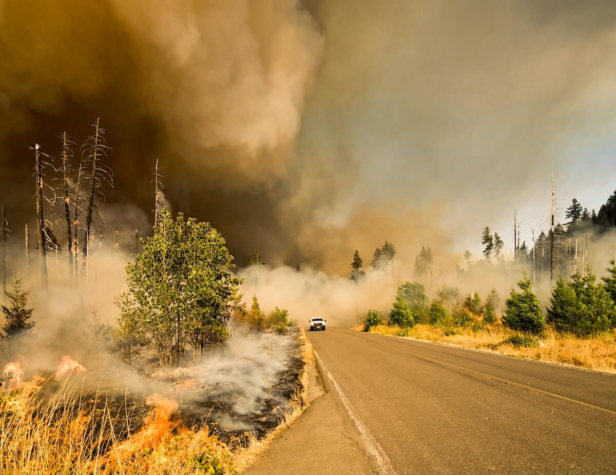 Smoke from a forest fire