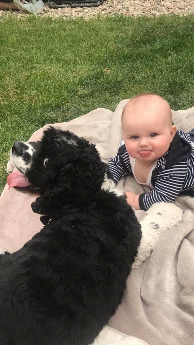 Rescue dog hanging out with his baby human sibling