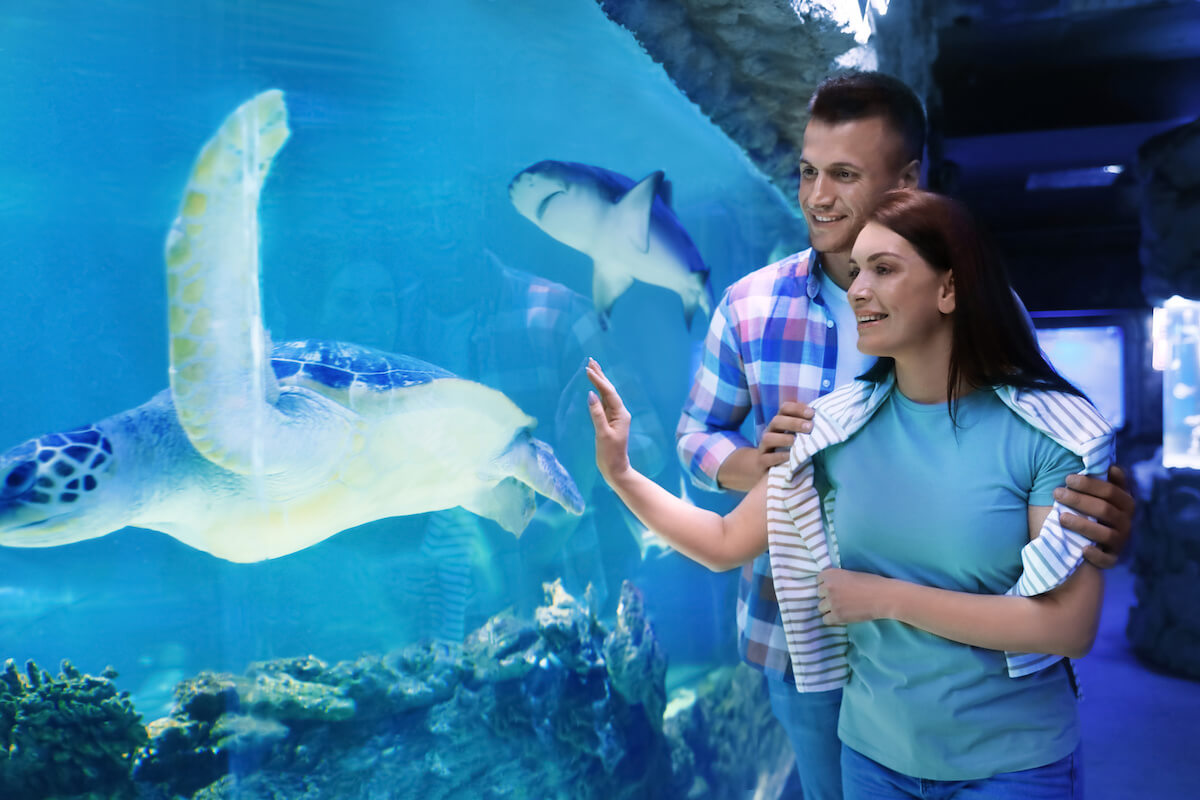 Happy couple on a date in an oceanarium.