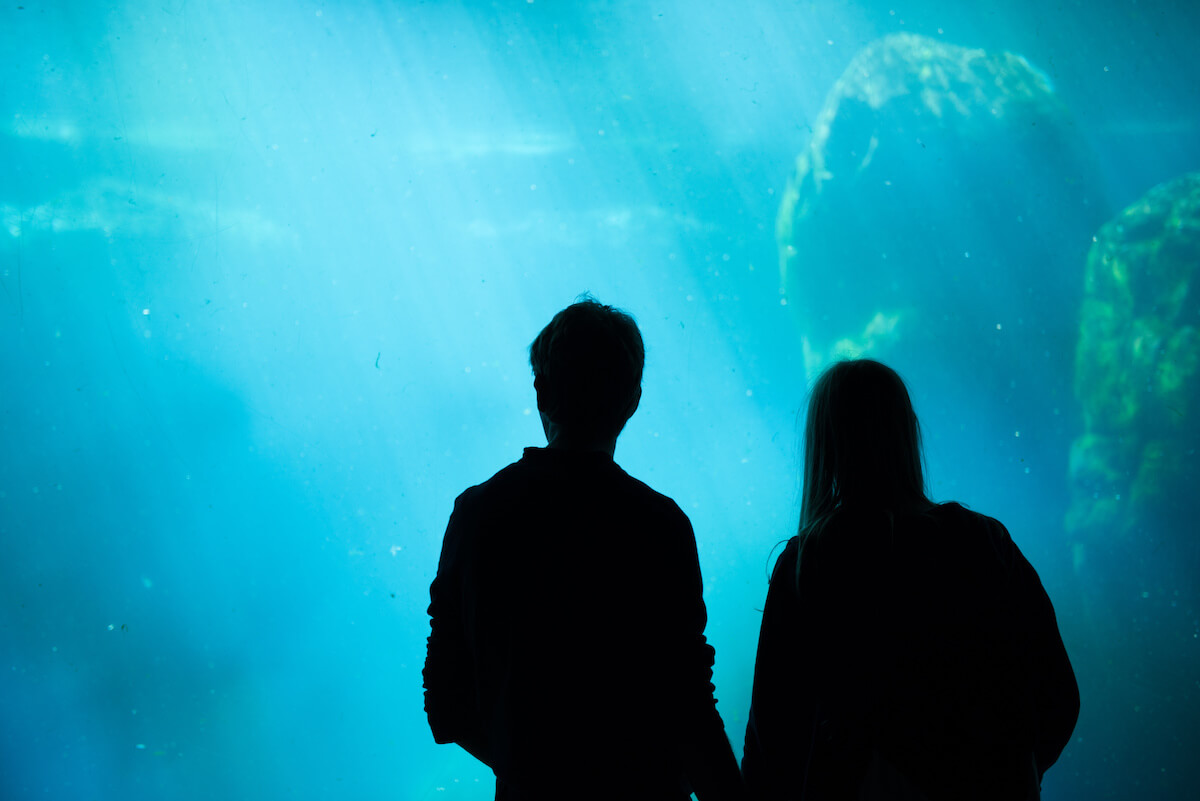 A couple on a date in the aquarium.
