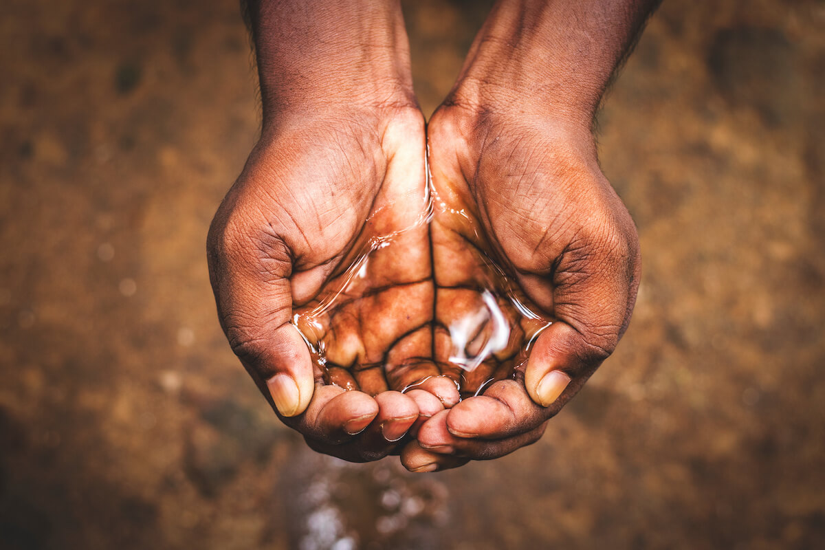 Closeup of hands holding water. 