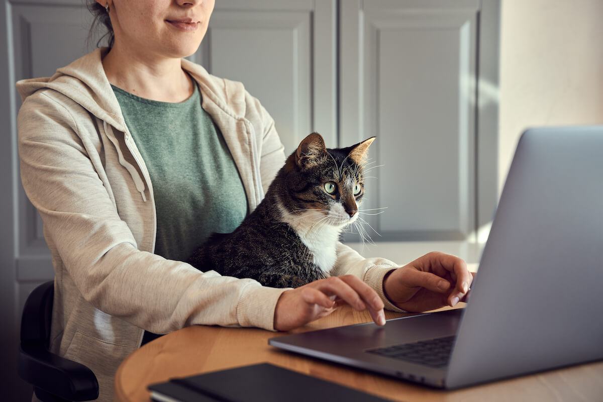 Young woman in green t-shirt and biege hoodie sitting with a cat on her lap.