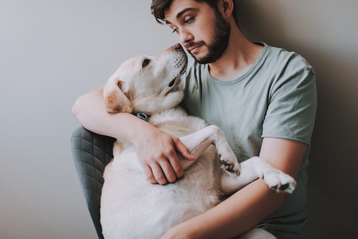 Pleasant bearded man sitting in the arm chair while holding his dog.