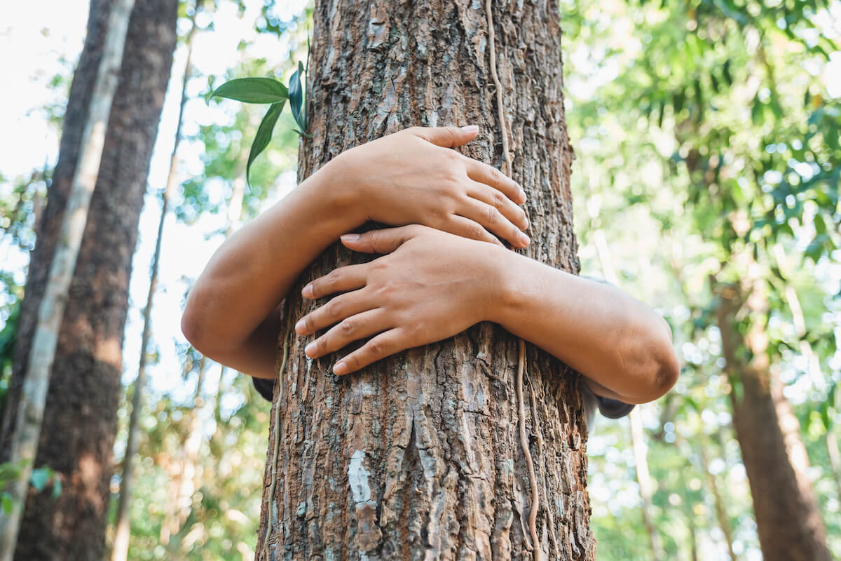 A woman stand behind and give a hug to the old tree in the tropical forest