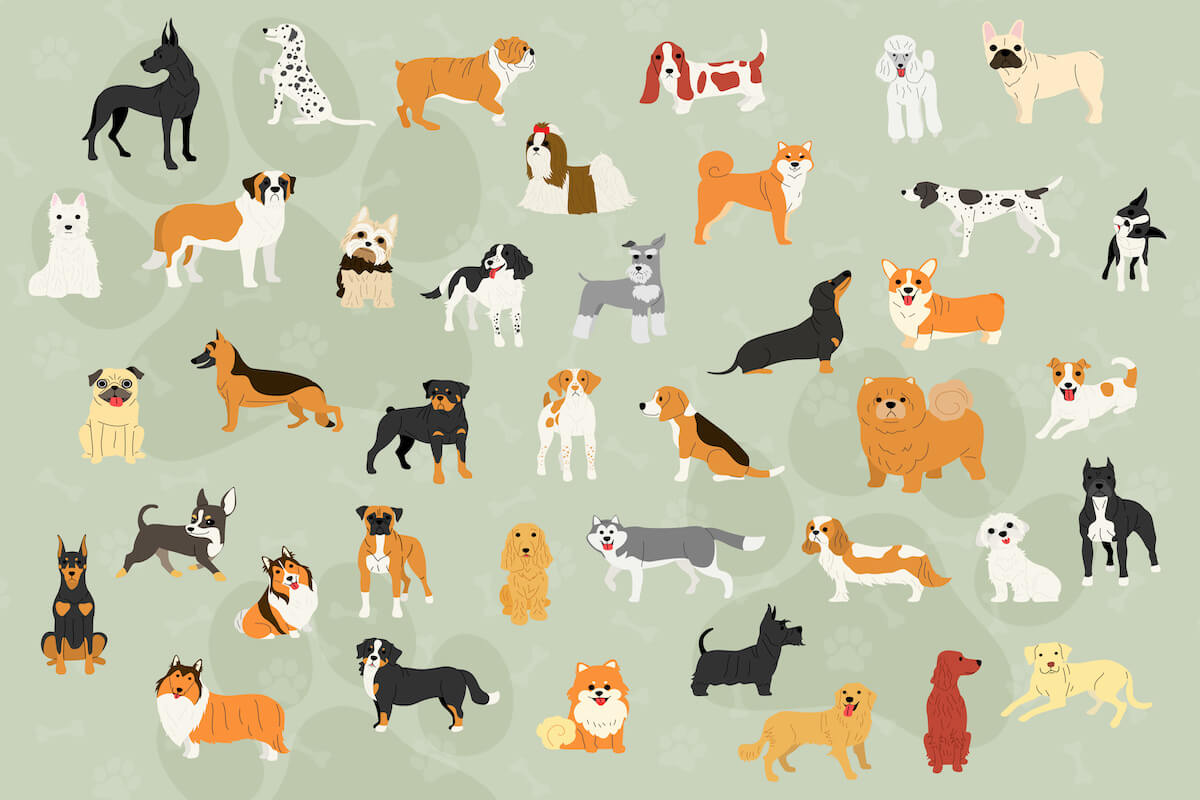 cute dogs in action wallpaper design