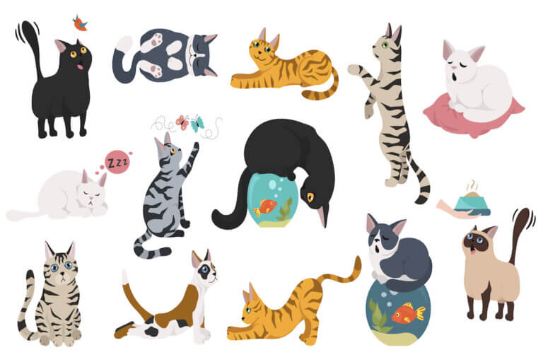 Cartoon cat characters collection. Different cat`s poses, yoga and emotions set. Flat color simple style design.