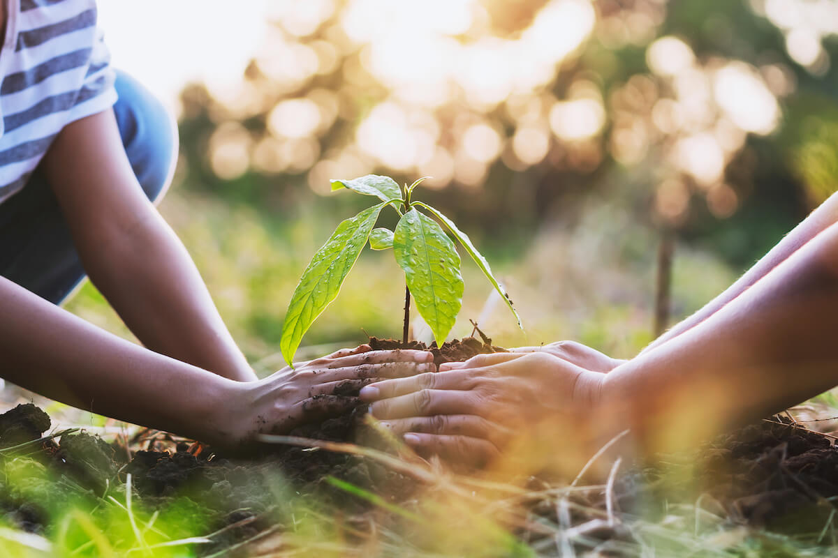 Mother with children helping planting tree in nature