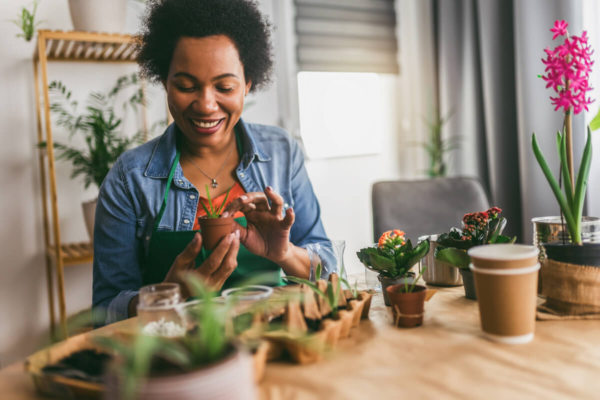 Woman transplanting flowers at home.